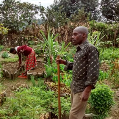 A man and a woman gardening in a lush, green vegetable garden on a cloudy day.