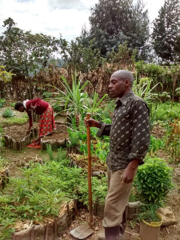 IMG_20180914_103744395_HDR A man and a woman gardening in a lush, green vegetable garden on a cloudy day.