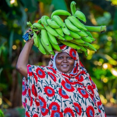 A woman wearing a red and blue flowered headscarf, holding a stalk of bananas on her head, walking through a lush green setting.