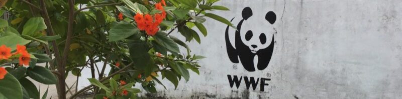 outside-office-e1533004644425 WWF panda logo on a white wall next to green leaves and orange flowers.